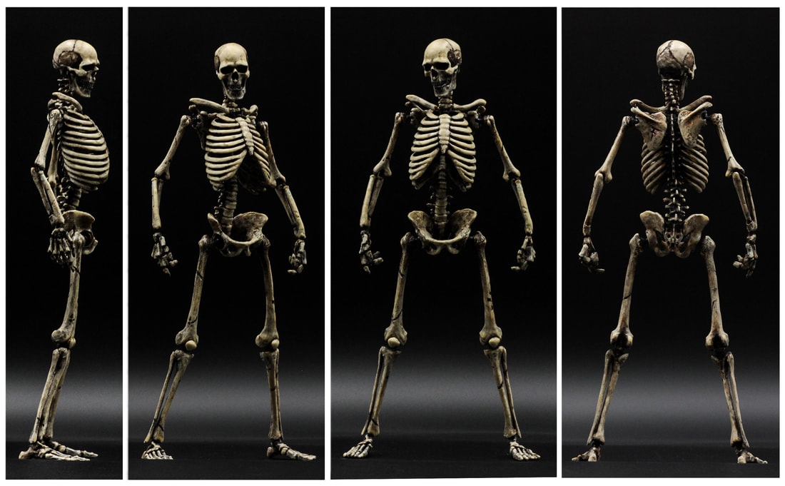 fattel -hand made & customized action figures- Original figures of 30 cm in  16 scale of the human skeleton, with over 70 points of articulation,  differti skulls and various color and texture