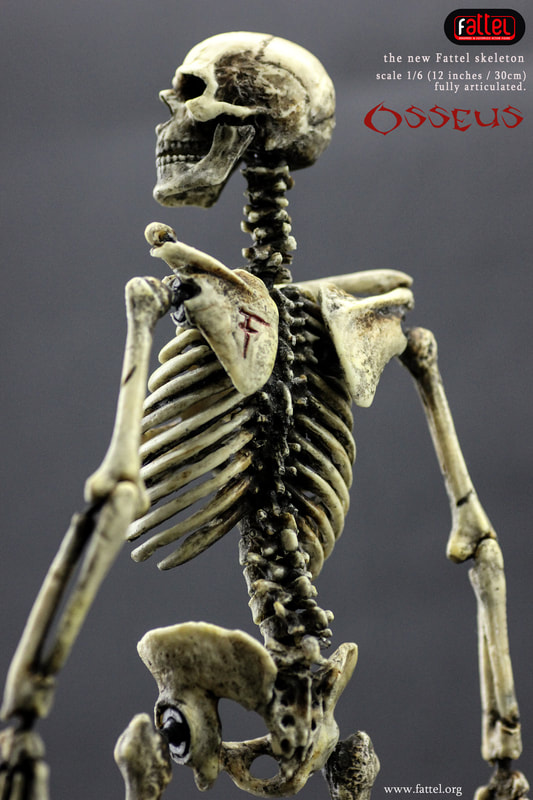 action figure skeleton 1/6 by fattel - fattel -hand made