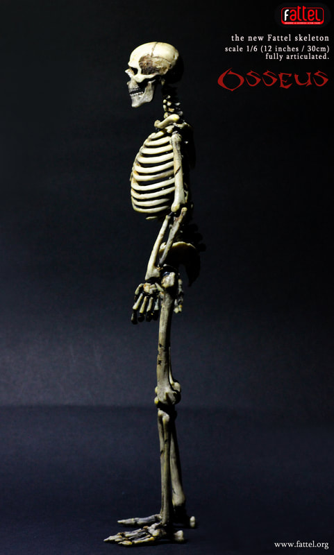 action figure skeleton 1/6 by fattel - fattel -hand made & customized  action figures- Original figures of 30 cm in 16 scale of the human  skeleton, with over 70 points of articulation